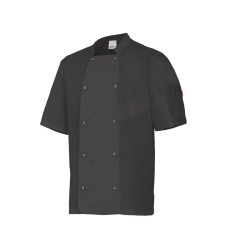 vierge ou avec votre logo