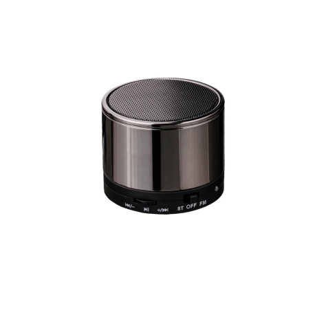SYNTH. Enceinte portable avec microphone vierge ou à personnalise