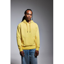 Sweat à capuche Anthem pour homme personnalisé