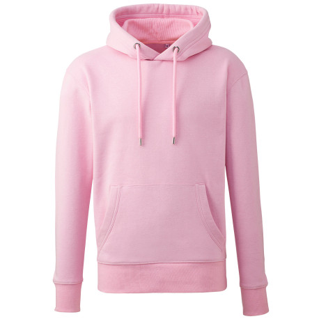 Sweat à capuche Anthem pour homme personnalisé