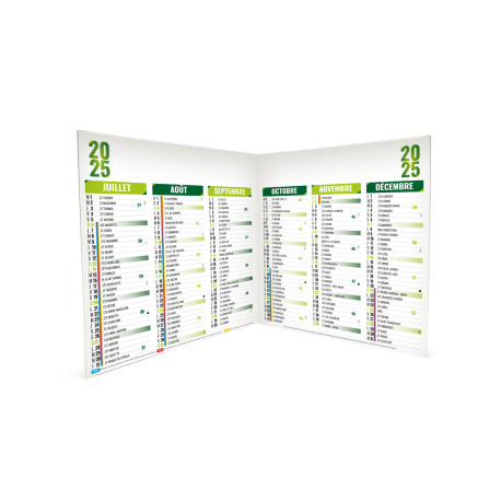 BANCAIRE STANDARD ORIGAMI CARRÉ VERT 2025 personnalisé