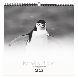 ILLUSTRÉ PARADIS BLANC 2025 personnalisé