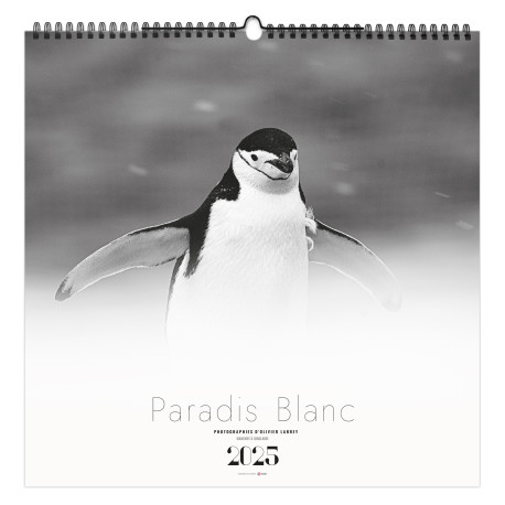 ILLUSTRÉ PARADIS BLANC 2025 personnalisé