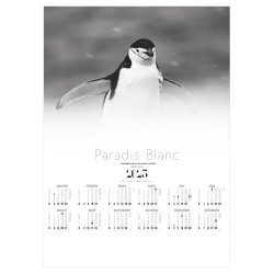 POSTER PARADIS BLANC 2025 personnalisé