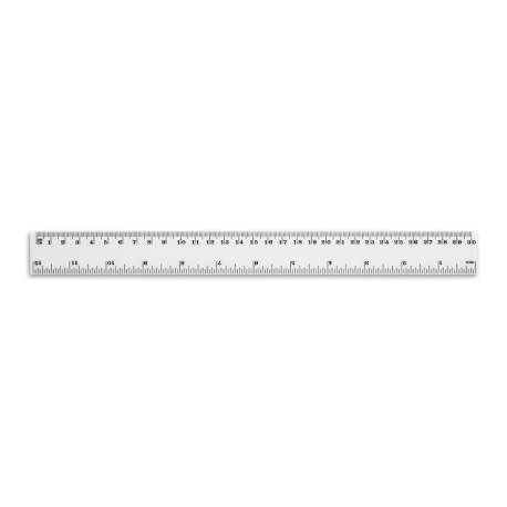 RULER. Règle de 30 cm vierge ou à personnaliser - Express et pas cher