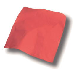 Bandana vierge ou à personnaliser - Express et pas cher